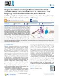 Cover page: Imaging Orientation of a Single Molecular Hierarchical Self-Assembled Sheet: The Combined Power of a Vibrational Sum Frequency Generation Microscopy and Neural Network