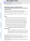 Cover page: Morphological Substrates for Parallel Streams of Corticogeniculate Feedback Originating in Both V1 and V2 of the Macaque Monkey