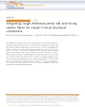 Cover page: Integrating tough Antheraea pernyi silk and strong carbon fibres for impact-critical structural composites