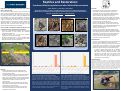 Cover page: Reptiles and Restoration: Coverboard Monitoring before and after Wetland Reconstruction