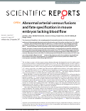 Cover page: Abnormal arterial-venous fusions and fate specification in mouse embryos lacking blood flow