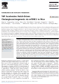 Cover page: YAP Accelerates Notch-Driven Cholangiocarcinogenesis via mTORC1 in Mice