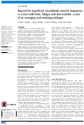 Cover page: Beyond the superficial: Coccidioides immitis fungaemia in a man with fever, fatigue and skin nodules: a case of an emerging and evolving pathogen