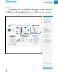 Cover page: FUS-dependent microRNA deregulations identify TRIB2 as a druggable target for ALS motor neurons.