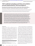 Cover page: TAK1-mediated autophagy and fatty acid oxidation prevent hepatosteatosis and tumorigenesis