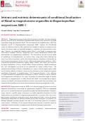 Cover page: Intrinsic and extrinsic determinants of conditional localization of Mms6 to magnetosome organelles in Magnetospirillum magneticum AMB-1.