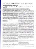 Cover page: Rare somatic cells from human breast tissue exhibit extensive lineage plasticity