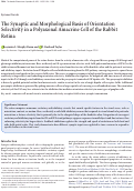 Cover page: The Synaptic and Morphological Basis of Orientation Selectivity in a Polyaxonal Amacrine Cell of the Rabbit Retina