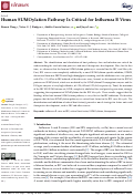 Cover page: Human SUMOylation Pathway Is Critical for Influenza B Virus