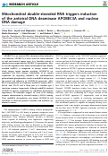 Cover page: Mitochondrial double-stranded RNA triggers induction of the antiviral DNA deaminase APOBEC3A and nuclear DNA damage.