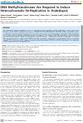 Cover page: DNA Methyltransferases Are Required to Induce Heterochromatic Re-Replication in Arabidopsis