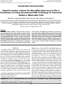 Cover page: Rapid production of novel pre-microRNA agent hsa-mir-27b in Escherichia coli using recombinant RNA technology for functional studies in mammalian cells.