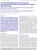 Cover page: A 43 kDa DNA binding protein from the pea chloroplast interacts with and stimulates the cognate DNA polymerase.