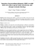 Cover page: Ingestion of monosodium glutamate (MSG) in adult male rats reduces sperm count, testosterone, and disrupts testicular histology