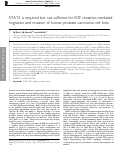 Cover page: STAT3 is required but not sufficient for EGF receptor-mediated migration and invasion of human prostate carcinoma cell lines