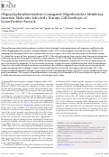 Cover page: Oligopolyphenylenevinylene-Conjugated Oligoelectrolyte Membrane Insertion Molecules Selectively Disrupt Cell Envelopes of Gram-Positive Bacteria