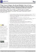 Cover page: Large Cancer Pedigree Involving Multiple Cancer Genes including Likely Digenic MSH2 and MSH6 Lynch Syndrome (LS) and an Instance of Recombinational Rescue from LS