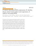 Cover page: A cancer-associated RNA polymerase III identity drives robust transcription and expression of snaR-A noncoding RNA.