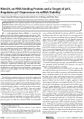 Cover page: Rbm24, an RNA-binding Protein and a Target of p53, Regulates p21 Expression via mRNA Stability*