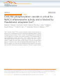 Cover page: CrkII/Abl phosphorylation cascade is critical for NLRC4 inflammasome activity and is blocked by Pseudomonas aeruginosa ExoT.