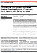 Cover page: Physiological DNA damage promotes functional endoreplication of mammary gland alveolar cells during lactation