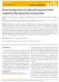 Cover page: Direct protection of cultured neurons from ischemia-like injury by minocycline