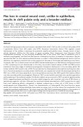 Cover page: Pbx loss in cranial neural crest, unlike in epithelium, results in cleft palate only and a broader midface