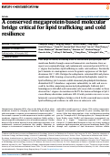 Cover page: A conserved megaprotein-based molecular bridge critical for lipid trafficking and cold resilience.