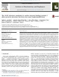 Cover page: The A31P missense mutation in cardiac myosin binding protein C alters protein structure but does not cause haploinsufficiency