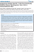 Cover page: Engineering antigen-specific T cells from genetically modified human hematopoietic stem cells in immunodeficient mice.