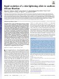 Cover page: Rapid evolution of a skin-lightening allele in southern African KhoeSan.