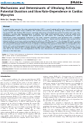 Cover page: Mechanisms and Determinants of Ultralong Action Potential Duration and Slow Rate-Dependence in Cardiac Myocytes