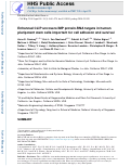 Cover page: Enhanced CLIP Uncovers IMP Protein-RNA Targets in Human Pluripotent Stem Cells Important for Cell Adhesion and Survival