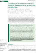 Cover page: Adenylyl cyclase isoform 1 contributes to sinoatrial node automaticity via functional microdomains