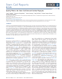 Cover page: Quality metrics for stem cell-derived cardiac myocytes.