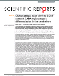 Cover page: Glutamatergic axon-derived BDNF controls GABAergic synaptic differentiation in the cerebellum