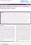 Cover page: Bazooka mediates secondary axon morphology in Drosophila brain lineages