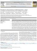 Cover page: Photophysical characterization of isothiazologuanosine, a unique isomorphic and isofunctional fluorescent analogue of guanosine