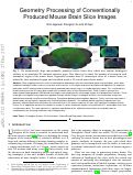 Cover page: Geometry processing of conventionally produced mouse brain slice images.