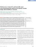 Cover page: Deficiencies in lamin B1 and lamin B2 cause neurodevelopmental defects and distinct nuclear shape abnormalities in neurons