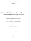 Cover page: Multi-phase Combustion and Transport Processes Under the Influence of Acoustic Excitation