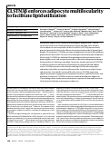 Cover page: CLSTN3β enforces adipocyte multilocularity to facilitate lipid utilization