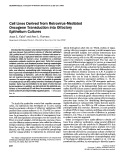 Cover page: Cell Lines Derived from Retrovirus-Mediated Oncogene Transduction into Olfactory Epithelium Cultures