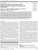 Cover page: Composition and in situ structure of the Methanospirillum hungatei cell envelope and surface layer