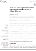 Cover page: ZEB1 Is a Transcription Factor That Is Prognostic and Predictive in Diffuse Gliomas