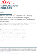 Cover page: Murine obscurin and Obsl1 have functionally redundant roles in sarcolemmal integrity, sarcoplasmic reticulum organization, and muscle metabolism