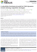 Cover page: A subcellular biochemical model for T6SS dynamics reveals winning competitive strategies