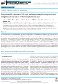 Cover page: Exogenous GLP-1 stimulates TCA cycle and suppresses gluconeogenesis and ketogenesis in late-fasted northern elephant seals pups