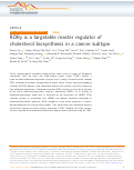 Cover page: RORγ is a targetable master regulator of cholesterol biosynthesis in a cancer subtype