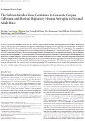 Cover page: The subventricular zone continues to generate corpus callosum and rostral migratory stream astroglia in normal adult mice.